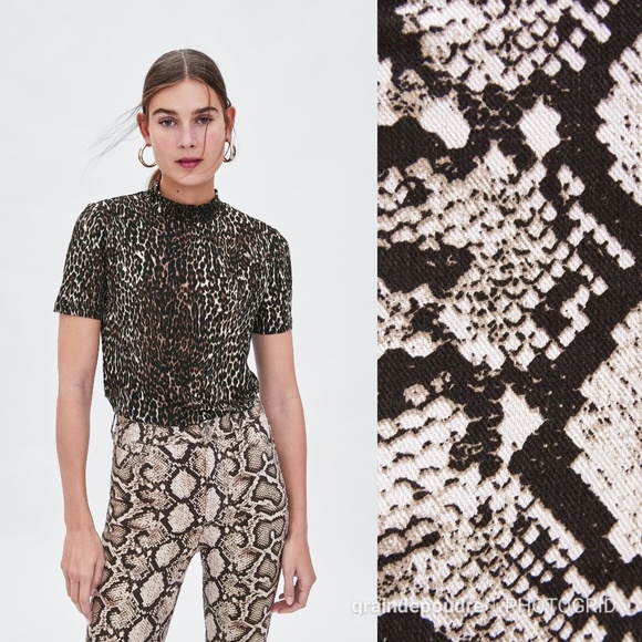 Zara Jeans Zara Snakeskin Print High Rise Skinny Jeans 34 Poshmark